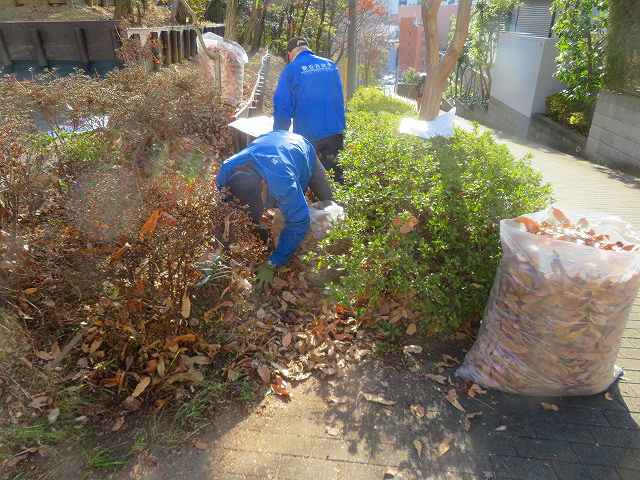 2026_0127202410230015