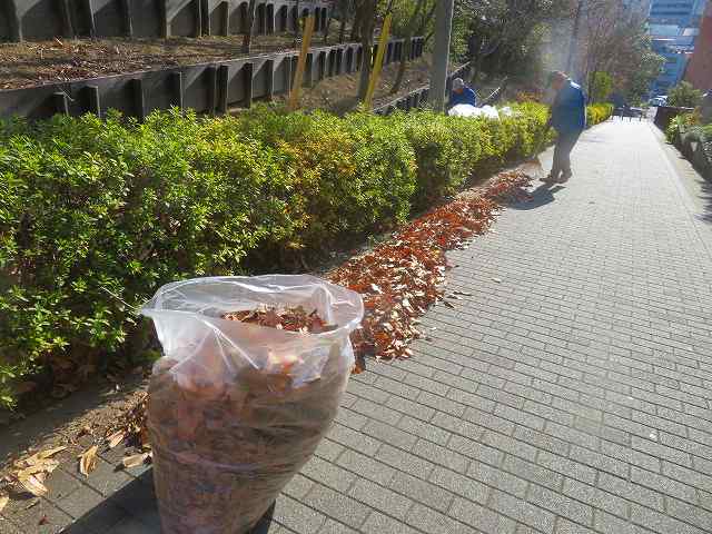 2026_0127202410230018