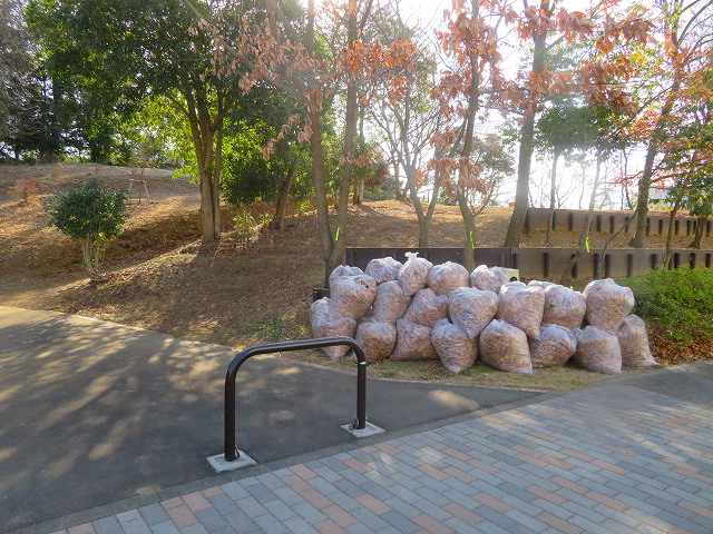 2026_0127202410230024