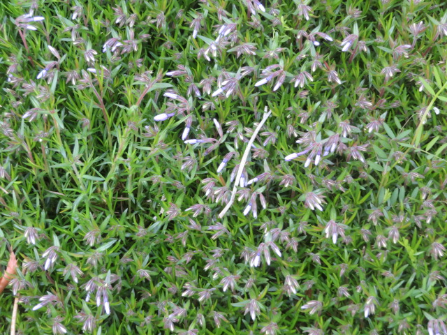 2026_0324202410230008