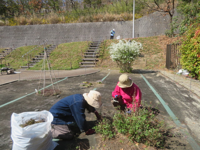 2026_0324202410230022