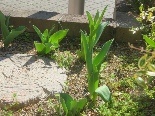 2026_0324202410230023