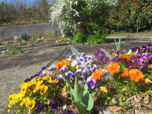 2026_0324202410230024