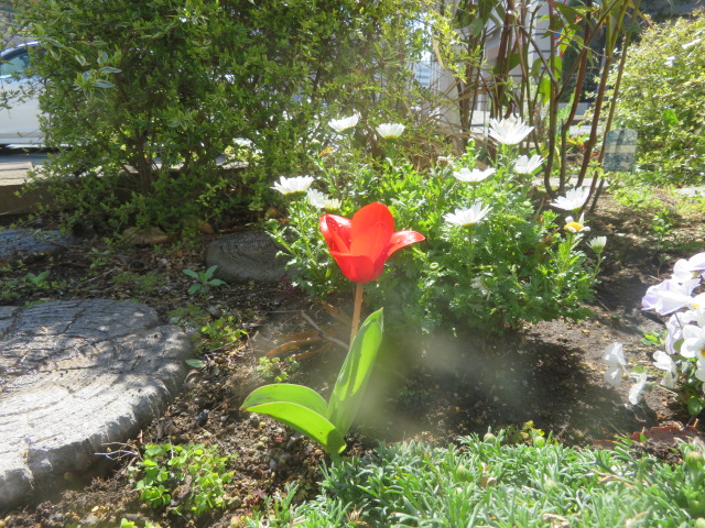 2026_0324202410230035