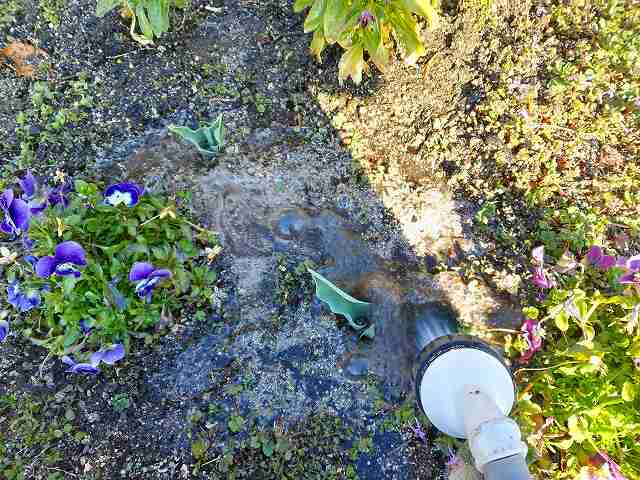 a3a879328f1d65b551ebf67ca01ae662-dsc_0526